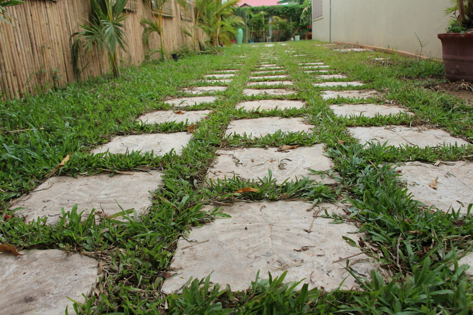 Areca Stay Siem Reap Exterior photo
